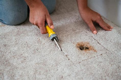 carpet damage repair near me.